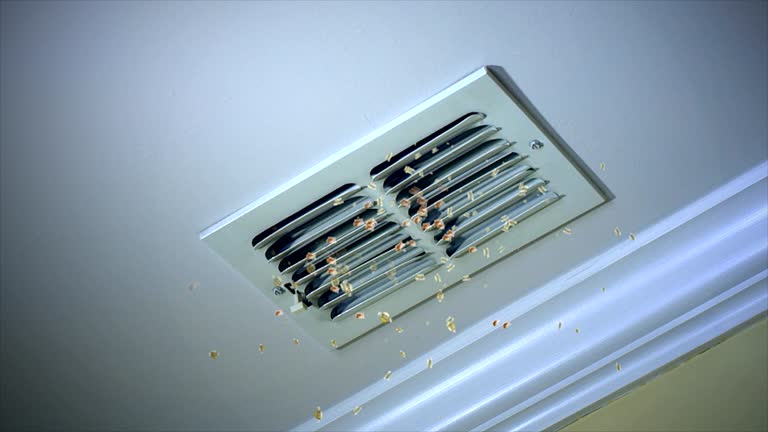 Best Dryer Vent Cleaning Services  in Macom, IL