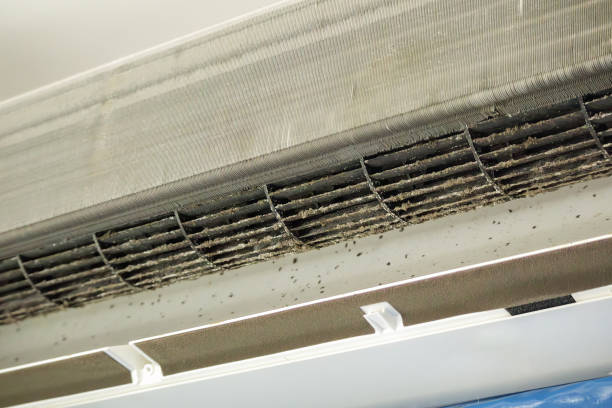 Best Affordable Air Duct Cleaning  in Macom, IL